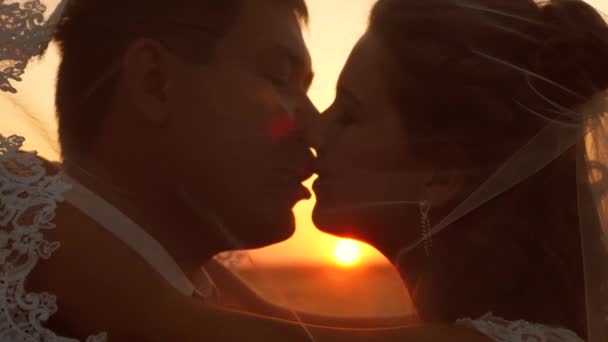 Η νύφη και ο γαμπρός φιλιούνται και αγκαλιάζονται στο ηλιοβασίλεμα. Γκρο πλαν. ρομαντικό ζευγάρι στην αγάπη φιλιά στο ηλιοβασίλεμα. Η ιδέα μιας ευτυχης οικογένειας. νεόνυμφους νεόνυμφοι - Πλάνα, βίντεο
