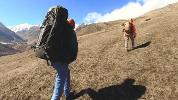 Δύο φωτογράφοι τουριστών με σακίδια σε καπέλα και γυαλιά ηλίου πηγαίνουν στο λόφο στο κίτρινο γρασίδι με κάμερες στα χέρια τους στο φόντο των χιονισμένων βουνών. αργή κίνηση - Πλάνα, βίντεο