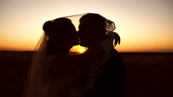 Η νύφη και ο γαμπρός φιλιούνται και αγκαλιάζονται στο ηλιοβασίλεμα. Γκρο πλαν. ρομαντικό ζευγάρι στην αγάπη φιλιά στο ηλιοβασίλεμα. Η ιδέα μιας ευτυχης οικογένειας. νεόνυμφους νεόνυμφοι - Πλάνα, βίντεο
