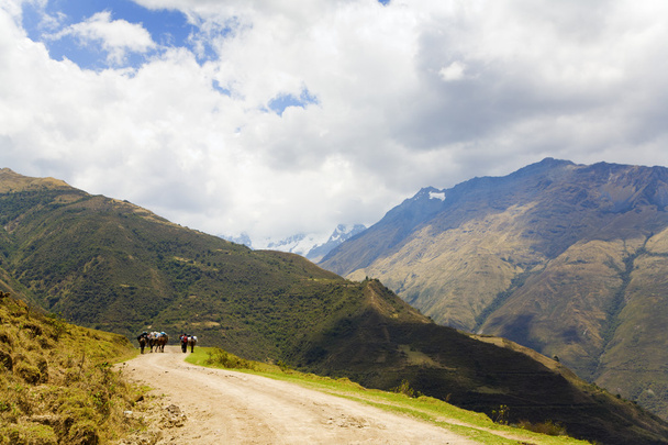 na drodze w Andach - Zdjęcie, obraz