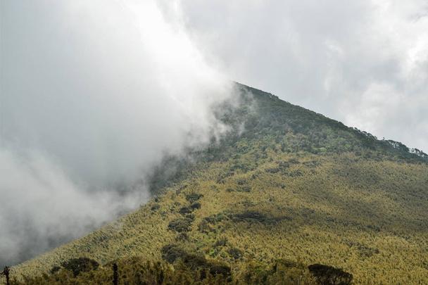 I paesaggi vulcanici paesaggistici delle Ranges Aberdare, Kenya - Foto, immagini