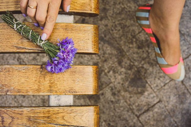 kytici chrpových květů - Fotografie, Obrázek