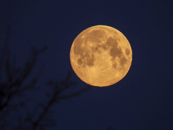 a yellow full moon in the morning sky - Photo, Image