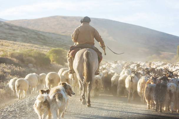 Gauchos ahd troupeau de chèvres dans les montagnes de Patagonie, Argentine
 - Photo, image