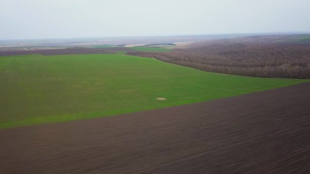 Kuş bakışı alanlar ve tarımsal parsel. Moldova Cumhuriyeti. Havadan izleme. - Video, Çekim