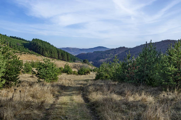Panorama of glade and  late autumn forest in Vitosha mountain, Bulgaria - Fotó, kép