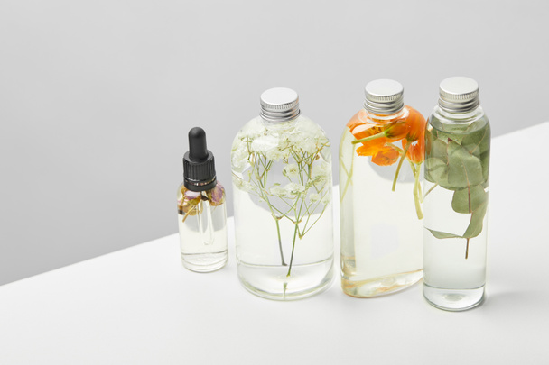 produkty ekologického krásy v průhledných lahvích s bylinkami, listy a divoké květiny izolované na šedé  - Fotografie, Obrázek