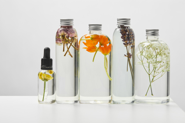 produits de beauté bio en bouteilles transparentes aux herbes et fleurs sauvages disposées en rangée sur table blanche isolée sur gris
  - Photo, image
