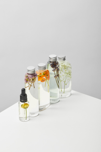 prodotti di bellezza biologici in bottiglie trasparenti con erbe aromatiche e fiori di campo su tavolo bianco isolato su grigio
  - Foto, immagini