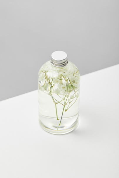 prodotto di bellezza biologico in bottiglia trasparente con erbe su tavolo bianco isolato su grigio
  - Foto, immagini