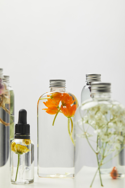 selective focus of natural beauty products in bottles with herbs and wildflowers isolated on grey  - Fotoğraf, Görsel