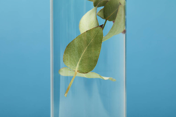 close up of organic cosmetic product with green leaves in transparent bottle isolated on blue - Photo, Image