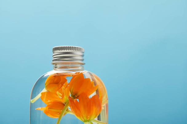 Nahaufnahme von Bio-Schönheitsprodukt mit orangefarbenen Blüten in der Flasche isoliert auf blau mit Kopierraum - Foto, Bild