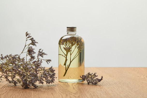 prodotto di bellezza biologico in bottiglia vicino viola fiori selvatici secchi su tavolo di legno isolato su grigio
  - Foto, immagini