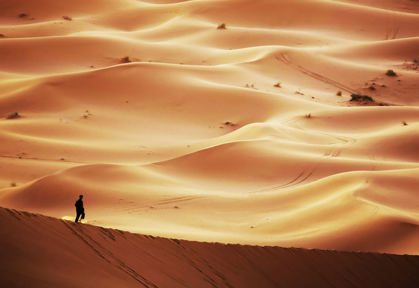 Observation du lever du soleil dans le désert du Sahara, Afrique
 - Photo, image