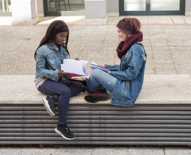 pareja de niñas multiétnicas estudiante sentado en el banco
 - Foto, imagen