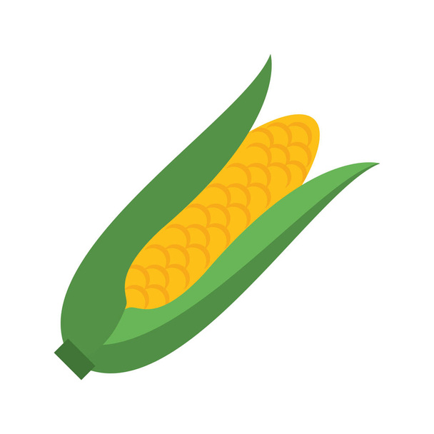 ortaggi freschi di mais - Vettoriali, immagini