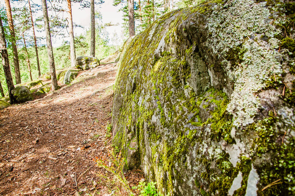 textura de musgo na pedra antiga na floresta de Karelian
 - Foto, Imagem