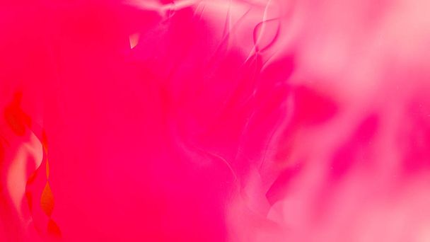 ピンク赤い花びらの背景 - 写真・画像