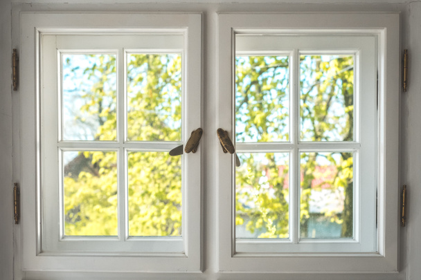 ξύλινο παράθυρο με ηλιόλουστη θέα στον κήπο - κοιτάζοντας μέσα από παλιά double - Φωτογραφία, εικόνα