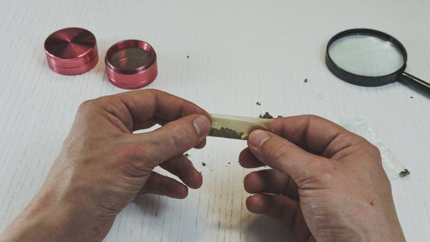 Preparing and rolling marijuana cannabis joint - Photo, Image