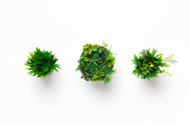 Mini-künstliche Pflanzen in Töpfen auf weißem Hintergrund - Foto, Bild