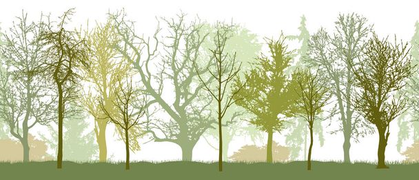 Modello senza cuciture di primavera parco (o giardino, o foresta) silhouette
 - Vettoriali, immagini