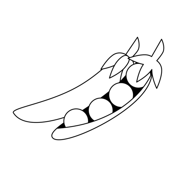 świeże warzywa groszek kreskówki w czerni i bieli - Wektor, obraz