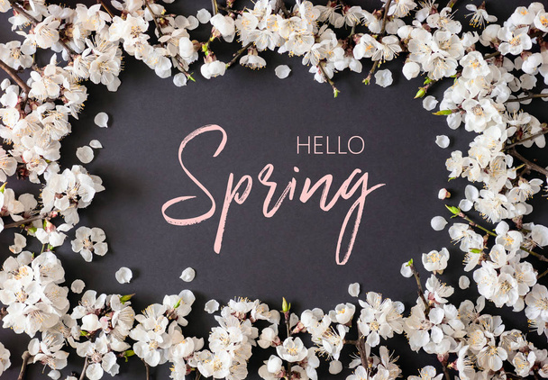 Postkarte Hallo Frühling. Frühlingsblumen auf schwarzem Hintergrund. Aprikosenblüte. Ansicht von oben.  - Foto, Bild