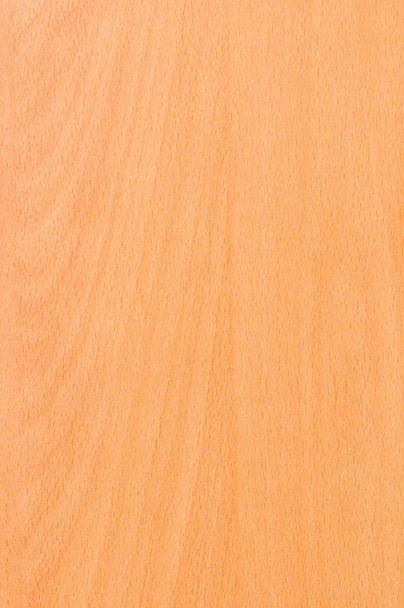 Beech wooden background - Photo, Image