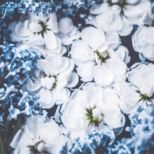 Fleurs vintage dans un jardin de rêve, fond floral
 - Photo, image