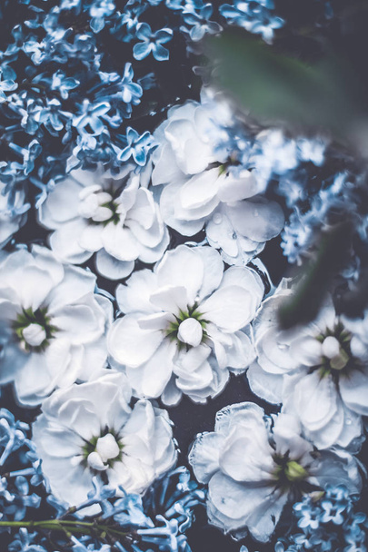 Винтажные цветы в саду мечты, цветочный фон
 - Фото, изображение