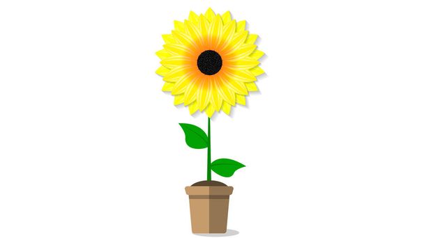 sunflower in a pot - Vector, Image