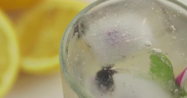 Stir of cold drink with lemon, mint leaf, ice cubes and black currant in a glass - Filmati, video