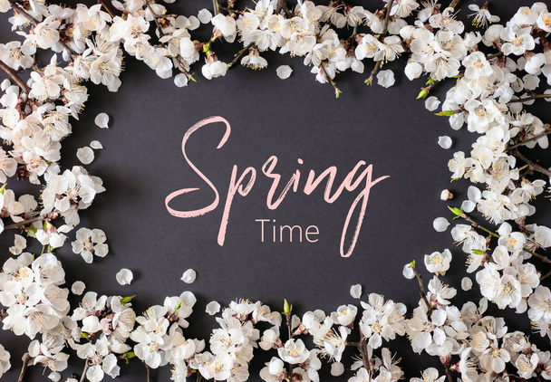 Cartão postal Spring Time. Flores de primavera em fundo preto. Flor de damasco. Vista superior
.  - Foto, Imagem