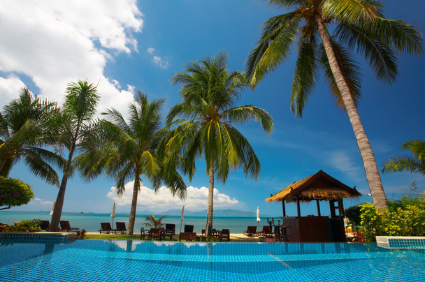 Vue sur belle piscine tropicale avec cabane exotique à l'arrière
 - Photo, image