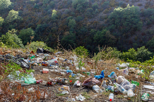 Yol boyunca plastik şişeler, çantalar ve diğer çöpler. Yol kenarında çöp. Çevre kirliliği kavramı - Fotoğraf, Görsel