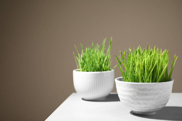 Bowls with fresh wheat grass on table against color background, space for text - Foto, Imagen