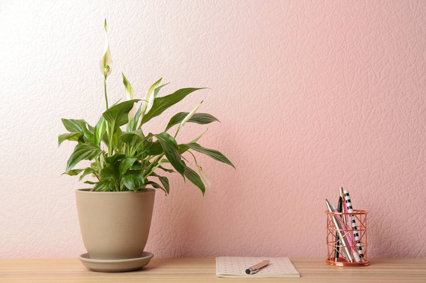 Peace lily, notebook and pens on table against color wall. Space for text - Foto, imagen