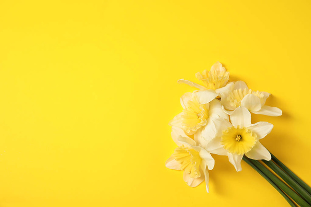 Bouquet of daffodils on color background, top view with space for text. Fresh spring flowers - Foto, immagini