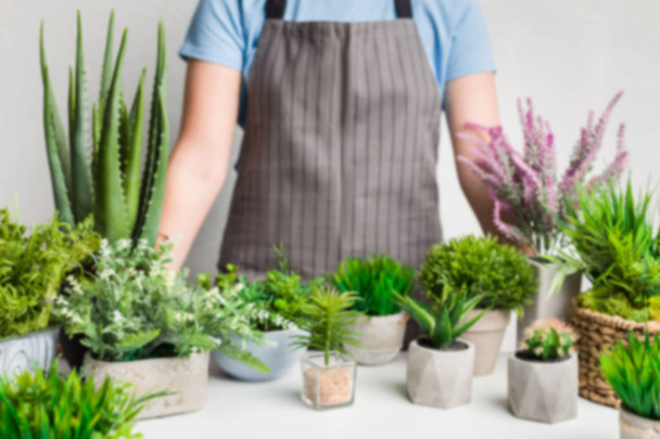 Foto desenfocada de jardinero con plantas siempreverdes en macetas
 - Foto, imagen