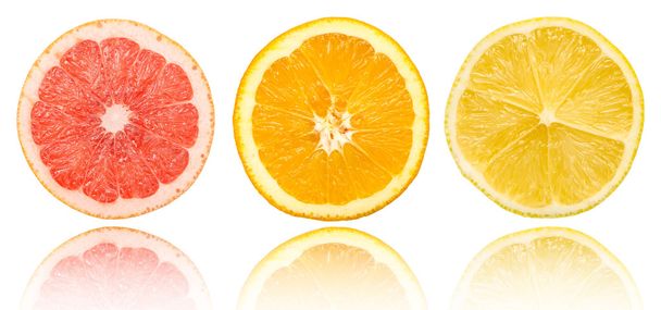 柑橘系の果物 - 写真・画像