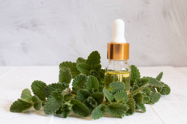 Organic essential oil of mint with green leaves. Natural oil of mint. - Photo, Image