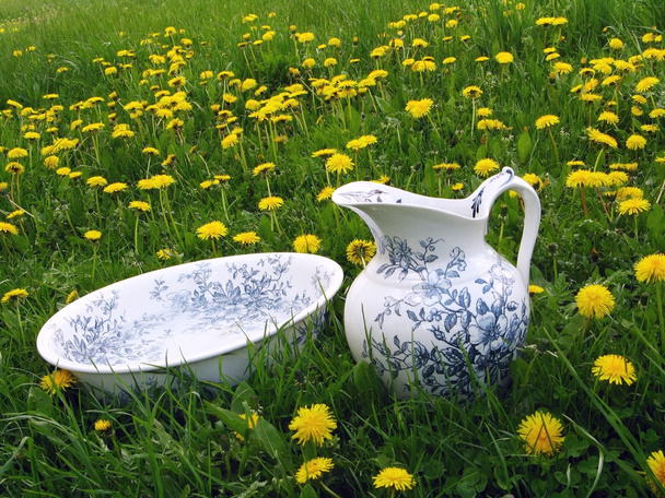 Classic wash basin and jug in meadow - Photo, Image