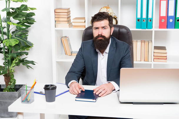 Office routine. Businessman in charge of business solutions. Developing business strategy. Risky business. Man bearded hipster boss sit office with laptop. Manager solving business problems - Photo, Image