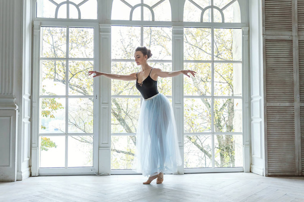 Dans sınıfında genç klasik bale dansçısı kadın - Fotoğraf, Görsel