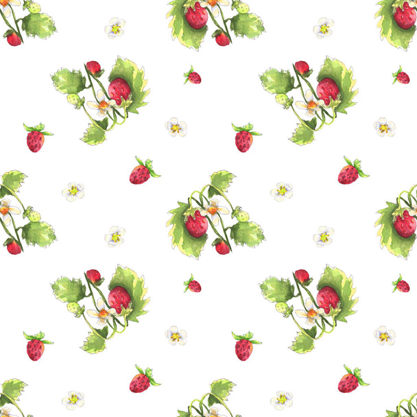 Modèle de fraise sauvage
 - Photo, image