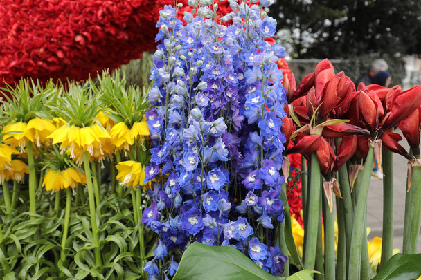Beleza decoração florística com flores tropicais coloridas  - Foto, Imagem