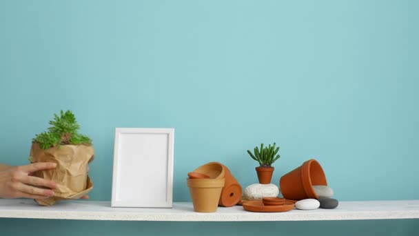 Modern room decoration with picture frame mockup. White shelf against pastel turquoise wall with pottery and succulent plant. Hand putting down potted succulent plant. - Footage, Video