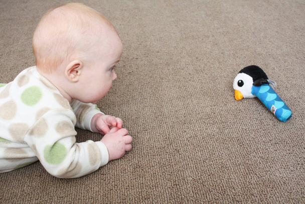 Un bébé jouant sur un plancher de moquette marron avec un jouet en forme de pingouin.
 - Photo, image